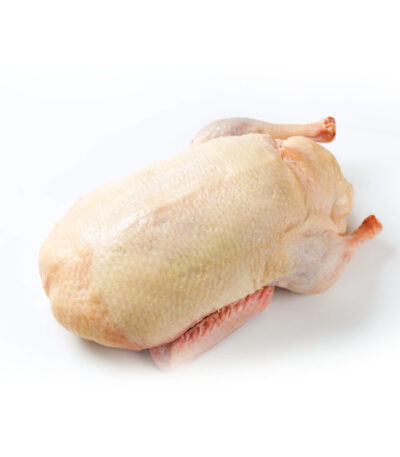 Duck Meat