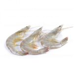 Shrimp U 40–50 pcs – Frozen