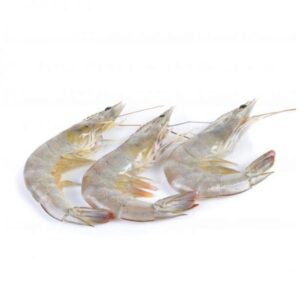 Shrimp U 40–50 pcs – Frozen