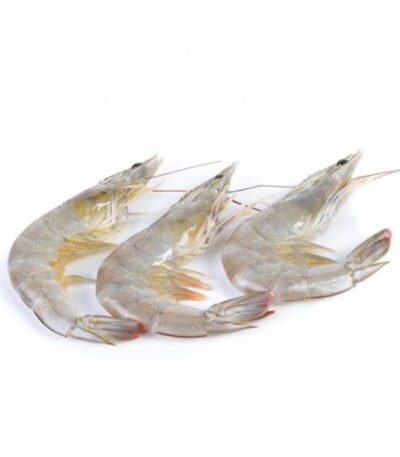 Shrimp U 40–50 pcs – Frozen