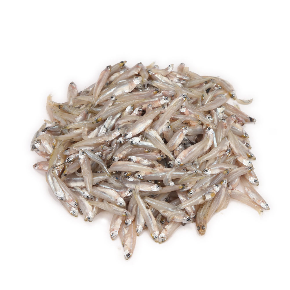Kaski Fish