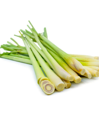 Lemon Grass / Duan Sereh – Frozen