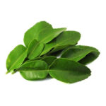 Lime Leaf