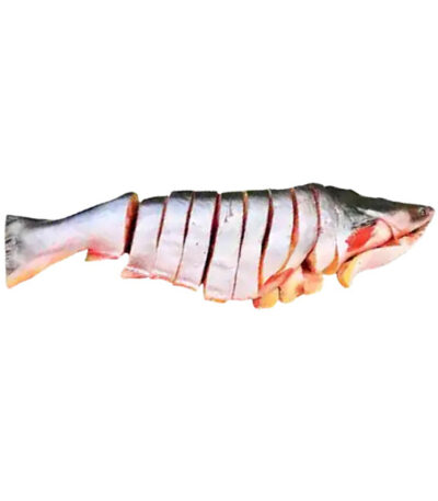 Pangash Whole Cut Fish (Shad Taste) – Frozen