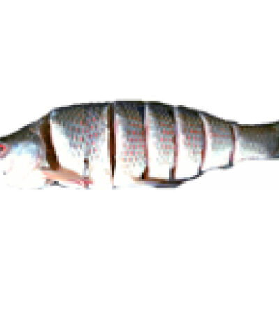 Ruhi (Rohu) Whole Cut Fish – Shad Taste | Frozen