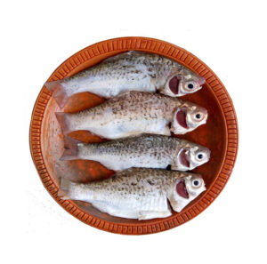 Shorputi Fish – Frozen