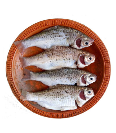 Shorputi Fish – Frozen