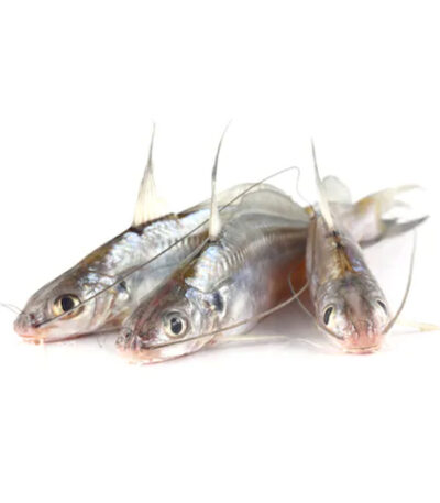 Tengra Fish Cleaned – Frozen